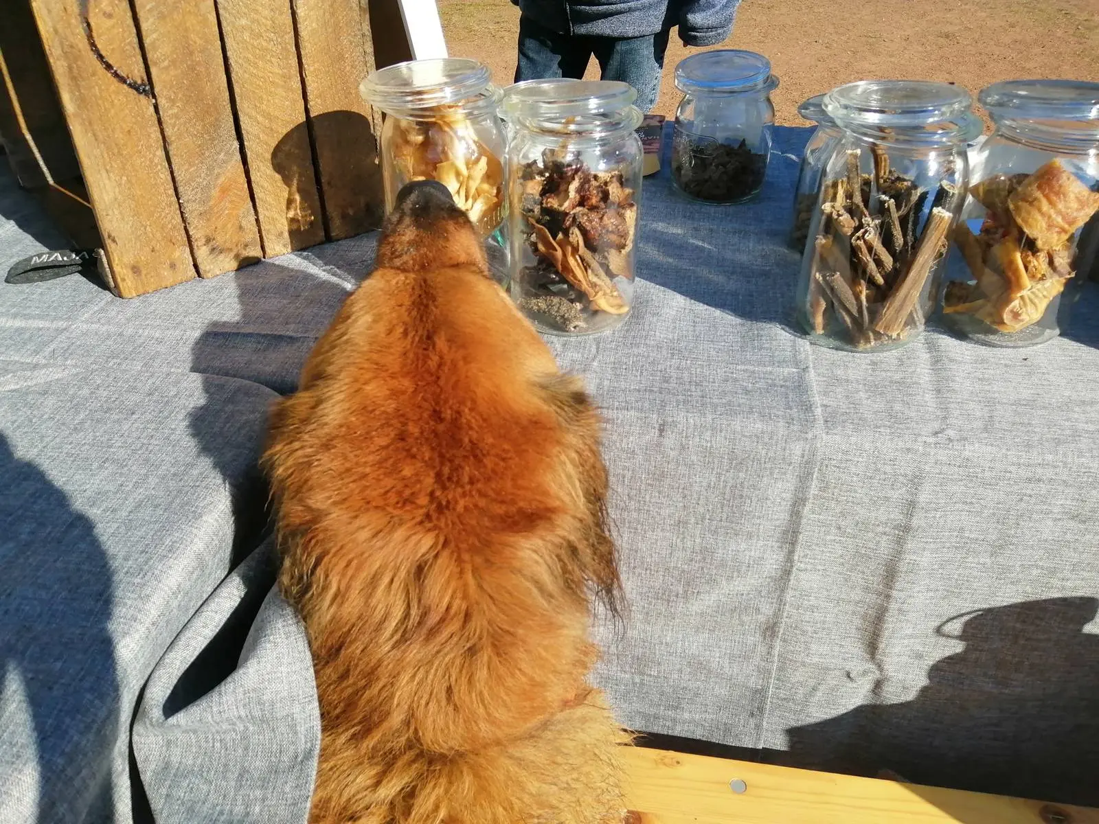 Ernährungsberatung - Gesund leben Ernährungsberatung - Gesund leben