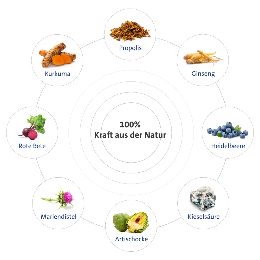 GladiatorPLus - Grafik mit den Inhaltsstoffen im Kreis