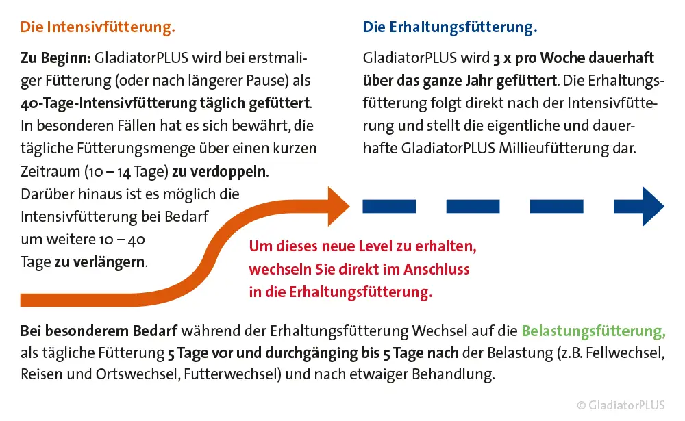 GladiatorPLus - Grafik/Text zur Intensiv-/Erhaltungsfütterung