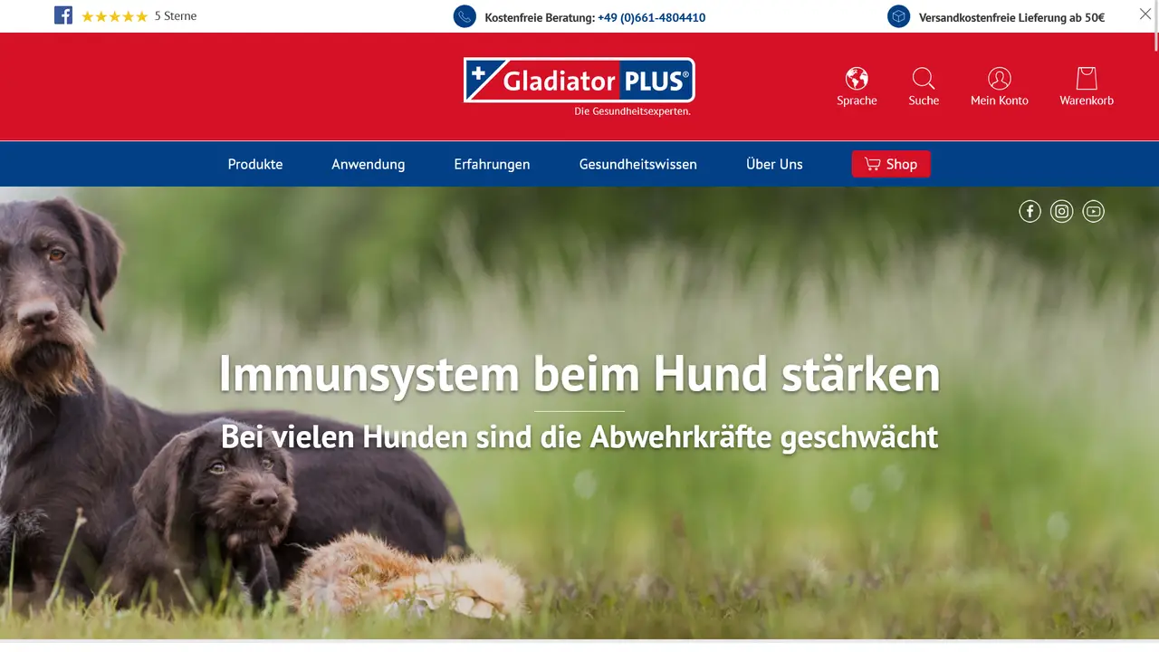 Screenshot Link zu "GladiatorPLUS"