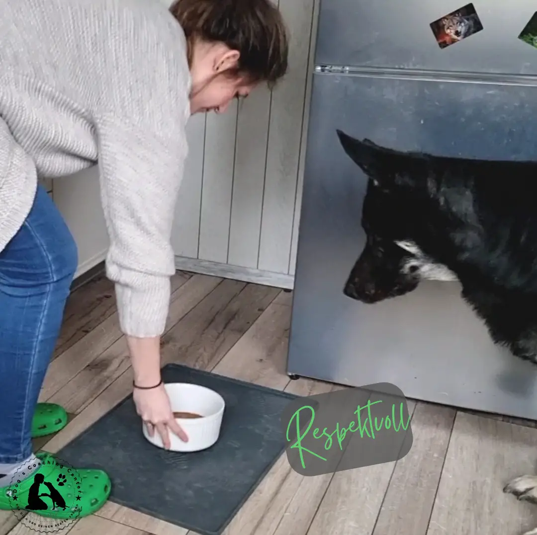 Fütterung und Respekt – Über Sinn und Unsinn von Hörzeichen bei der Fütterung