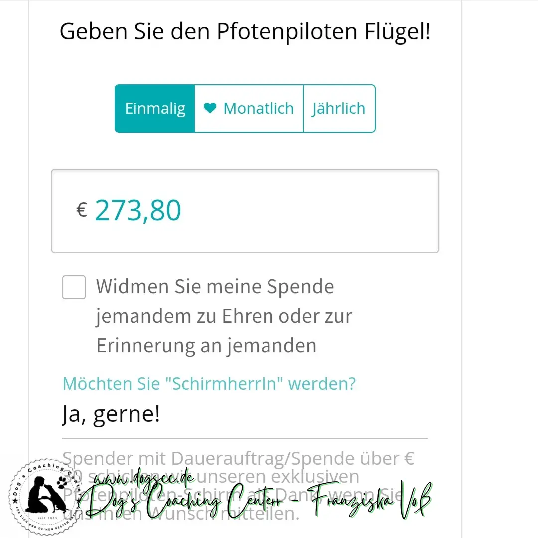 28.11.2022: Hundeschwimmen in Rheinberg 28.11.2022: Hundeschwimmen in Rheinberg