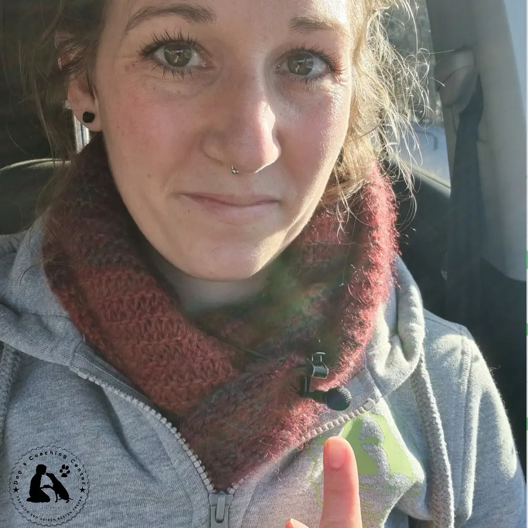 DCC - zum Fernsehdreh!