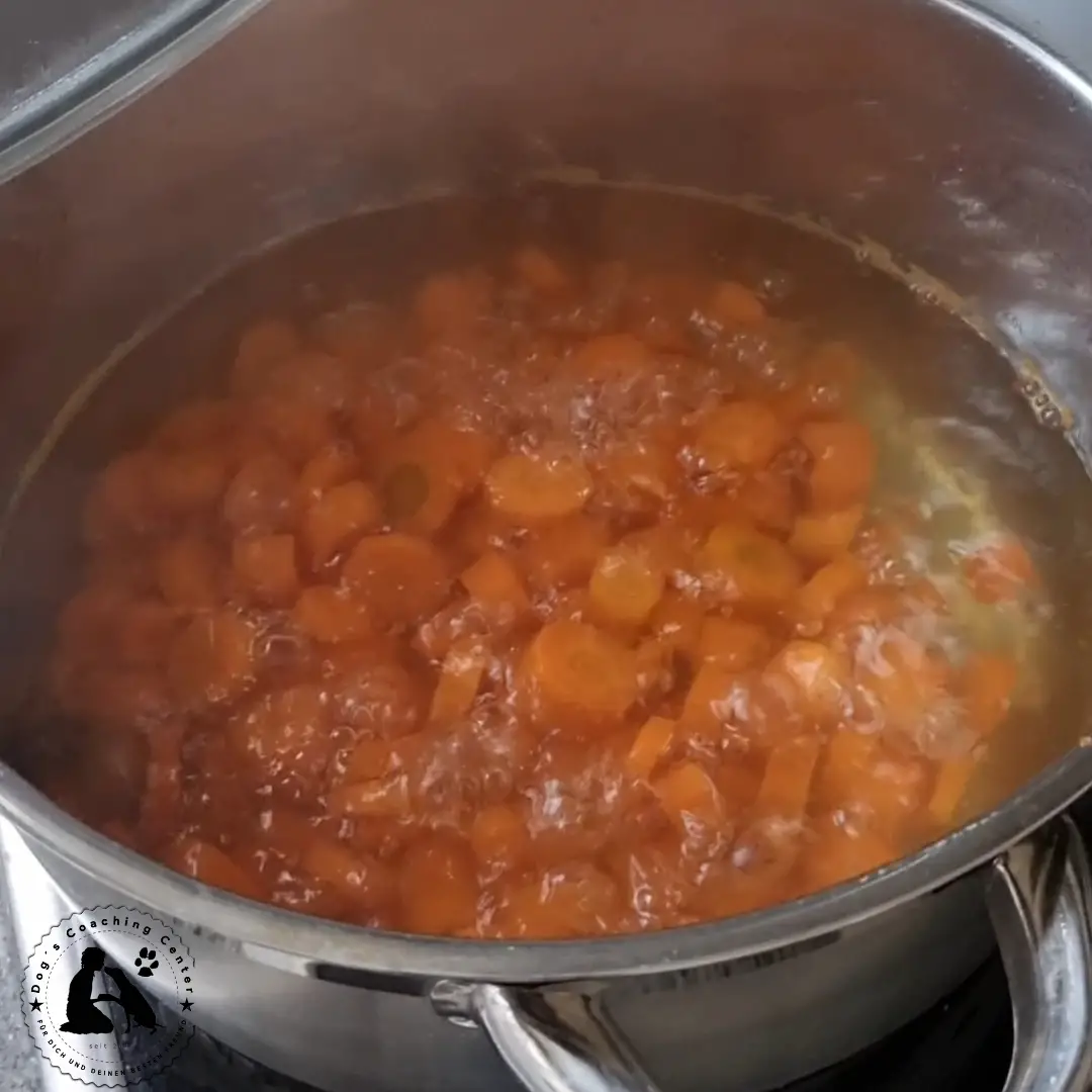 Moro-Suppe bei Durchfall. Infoblatt und Rezept von DCC Ansicht in den Kochtopf mit kleingeschnittenen Möhrenstücken in kochenden Wasser